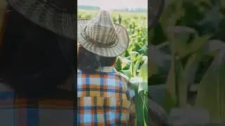 #AgriAI is a multilingual farming assistant