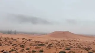 Coral Pink Sand Dunes state park