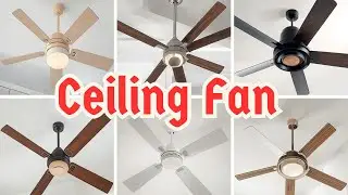 Epic Fan Moments Compilation | This Is Why Fans Are Amazing ❤️