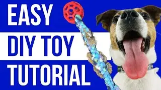 Make Your Dog a High-Value Tug Toy!