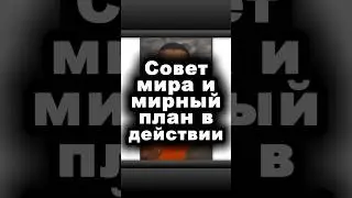 Совет мира и мирный план в действии