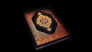 Special Program ll Maktab ELUCOTION COMPETITION ll By Maktab Masjid e Tawheed