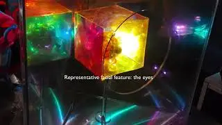 Project Interactive Installation Display