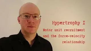 Hypertrophy: motor unit recruitment and the force-velocity relationship