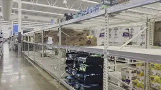 Experts say 'panic buying' in Memphis due to dock workers strike is a premature move