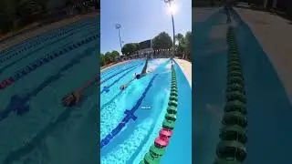 PERENANG TERUNIK DI DUNIA‼️ #aksi #unik #fakta #berenang #renang #hebat #langka #keren #ngebut