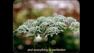 Summer is long / a poem