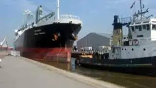 JUTHA VASANA - LADY STEPHANIE - King George Dock - Hull