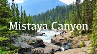 Mistaya Canyon | Banff National Park