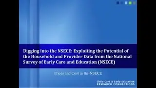 Prices and Cost in the NSECE