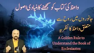 7 Minutes with God - 12/11/25 - A Golden Rule To Understand Ecclesiastes || جانوروں کی روح؟
