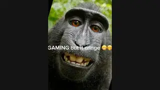 Why does gaming need to be cringe?