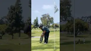 VX DECKS ARE MORE FUN