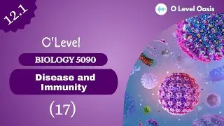 Diseases spread from smoking | Chapter 12 | Disease and Immunity | Unit 12.1 | Disease