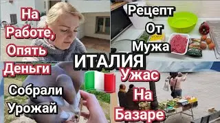 ИТАЛИЯ, УЖАС НА БАЗАРЕ, НА РАБОТЕ, ОПЯТЬ ДЕНЬГИ, СОБРАЛИ УРОЖАЙ 
