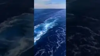 Safety for pirates attack | When pirates attack on ships #shorts #merchantnavy #pirates #attack