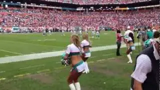 Miami Dolphins Cheerleaders