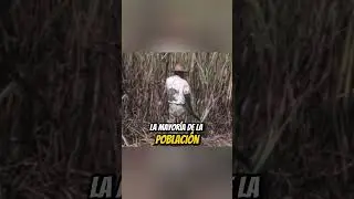 Si Cuba era TAN PR&Oacute;SPERA en 1958... &iquest;Por qu&eacute; triunf&oacute; la Revoluci&oacute;n?