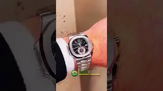 Amazing Nautilus 5980
