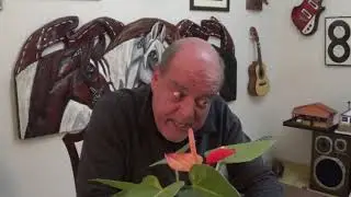 PE NA RO&Ccedil;A w  23 09 20 BLC 01