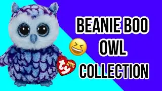 Beanie Boo Owl Collection! | BeanieBoos101 UK