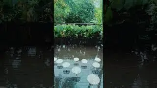 💚💚💚
