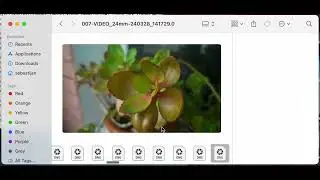 MCRAW mounter FUSE demo (for MotionCam Android App)