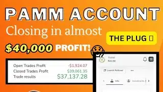 Probably The Best Forex Trading PAMM Account Online 2023- Over 170% Gain and $40,000+ in Profit !!!