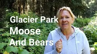 Glacier Park, Many Glacier Boat Tour, Moose siting