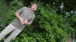 Native Tree & Shrub Sale 2019 - 1st option of shrub