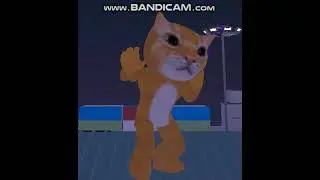 Lucho bailando