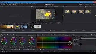 Selective Colour Removal Davinci Resolve