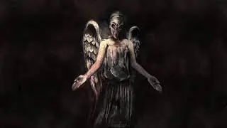 DP - Angels