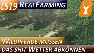 LS19 Real Farming #6 - Wildpferde m&uuml;ssen den Regen vertragen. Das LU ist stark ausgelastet!