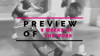 PREVIEW of 6 Weeks of the Work!
