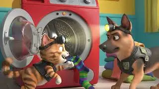 Meow Meow loves sock