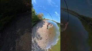 👀 3rd person POV Crappie Fishing | white perch | insta360 X5 | ASMR #fishing #short