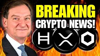 SEC Chairman drops BOMBSHELL WARNING on HBAR, LINK & XRP!