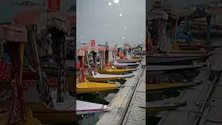Dal Lake की खामोशी 💙 | बड़ी उदास है ज़िन्दगी #kashmir #shorts #love #ytshorts #viral #trending