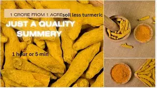 1 acre to 1 crore Profits from Soilless Turmeric Farming !!