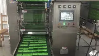 Chaga Mushroom Powder Packaging Machine [영테크팩 / Young Tech Pack]