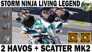 STORM NINJA! SKYDRIVER NIGHTINGALE 2 HAVOC SCATTER MK2  LIVING LEGEND WAR ROBOTS 2 SUPPRESSOR T4!