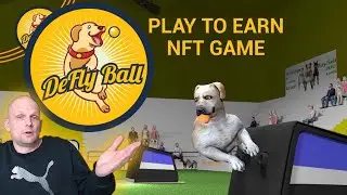 NEW METAVERSE PLAY TO EARN NFT GAMING PROJECT REVIEW - DEFLYBALL CRYPTO!?!
