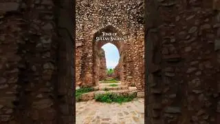 Balban Tomb #sultan #medieval  #history #india #ugcnet  #upsc #motivation #trending #ytshorts #reels