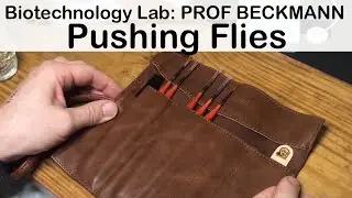 Pushing Flies With Prof Beckmann