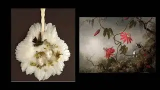 Art of Birds: Martin Johnson Heade's Gems of Brazil: Hummingbird Paintings & the Feather Industry