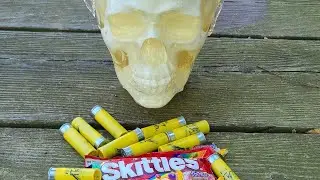 20ga shot shell loaded with Skittles v ballistic head