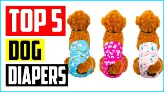 Top 5 Best Washable Dog Diapers in 2022 Review