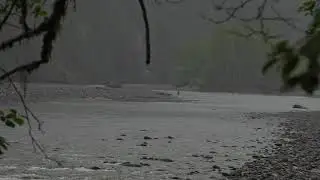Violent Sasquatch Encounter And Threats From The Law