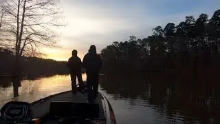 7th place finish in THSBA on Toledo Bend
